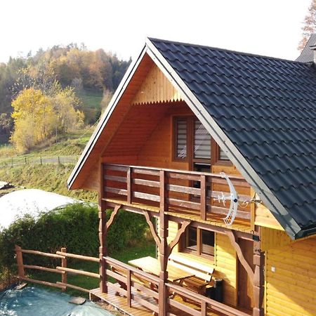 Domek Dzikusowka 1 Bieszczady Solina Polanczyk Zawoz Cisna Gorzanka Εξωτερικό φωτογραφία